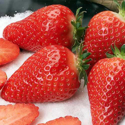 Ягода Alba изображение 1 артикул 5391