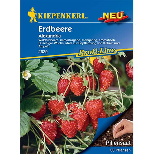 Ягода Alexandria Kiepenkerl изображение 1 артикул 50010