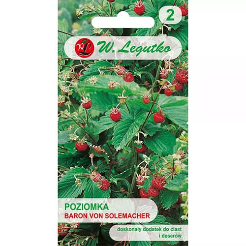 Ягода дребна Baron von Solemacher изображение 1 артикул 69529