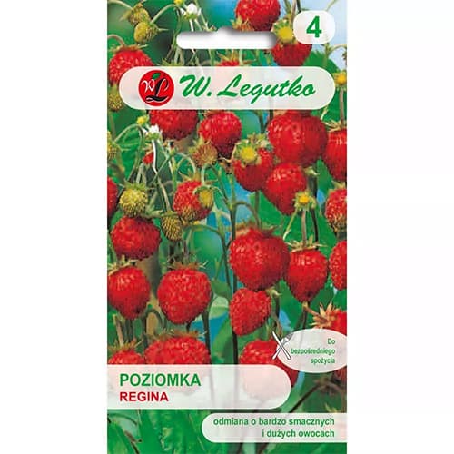 Ягода дребна Regina изображение 1 артикул 86894