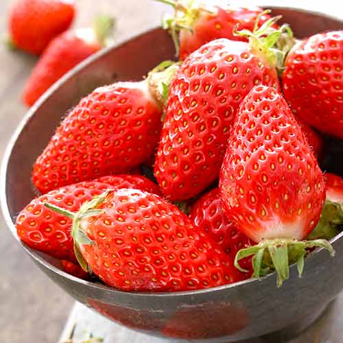 Ягода Gariguette изображение 1 артикул 5197