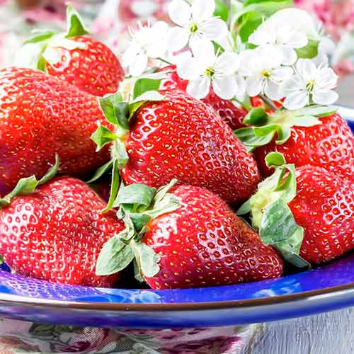 Ягода Korona изображение 1 артикул 15831