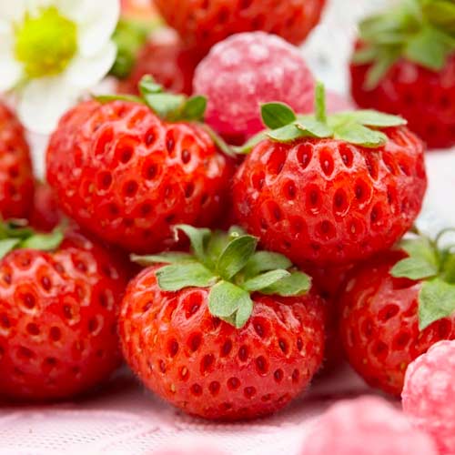 Ягода Mieze Schindler изображение 1 артикул 5406