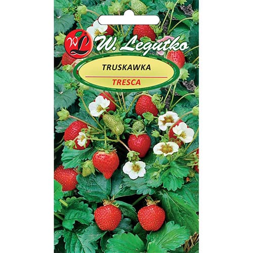 Ягода Tresca изображение 1 артикул 86914