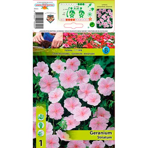 Здравец Striatum изображение 1 артикул 76584