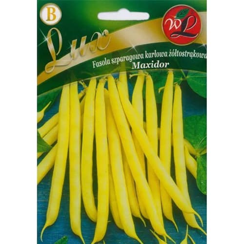 Зелен фасул нисък Maxidor изображение 1 артикул 96818