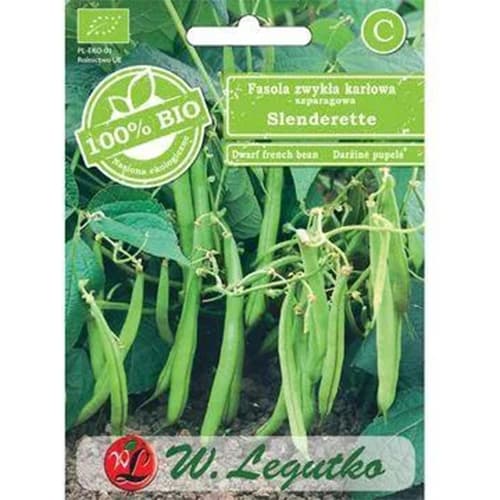 Зелен фасул нисък Slenderette артикул фото 1 Зелен фасул нисък Slenderette изображение 1 артикул 96828