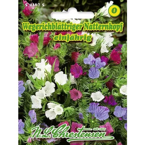 Живовлеково усойниче Chrestensen изображение 1 артикул 96418