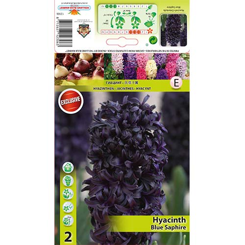 Зюмбюл Blue Saphire изображение 1 артикул 67358