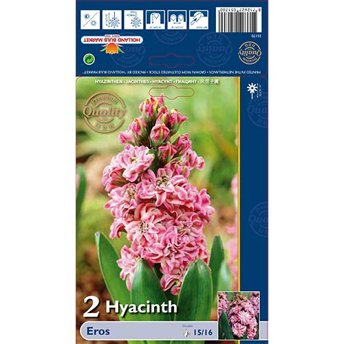 Зюмбюл Double Eros изображение 1 артикул 67591