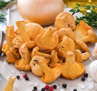 Мицел на гъби