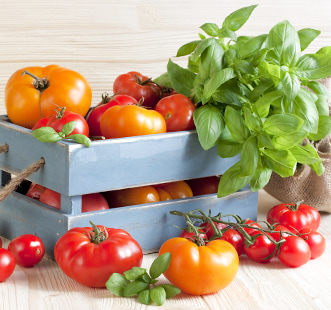 Семена зеленчуци