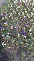 upload_img1