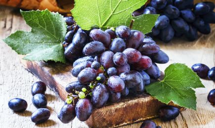 Богат вкус | Gradinamax