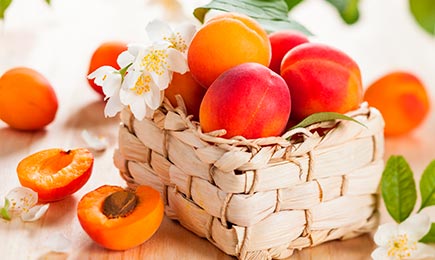 Мечта на гастронома | Gradinamax