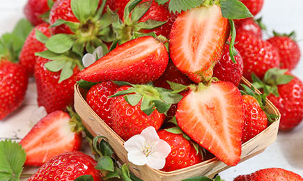 Медено наслаждение | Gradinamax