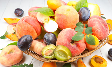 Мини градинка | Gradinamax