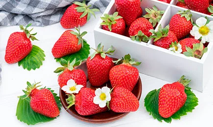 Необичаен десерт | Gradinamax