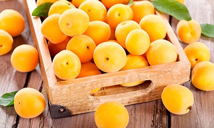 Сладки, сочни, добивни | Gradinamax