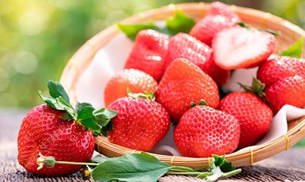 Щастие за любителите на сладко | Gradinamax