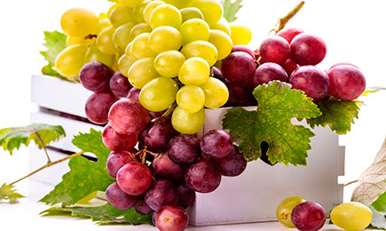 Вашето собствено лозе | Gradinamax